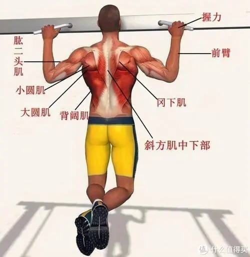 <strong>pg电子最新网站入口，大学生网球拍大小</strong>
